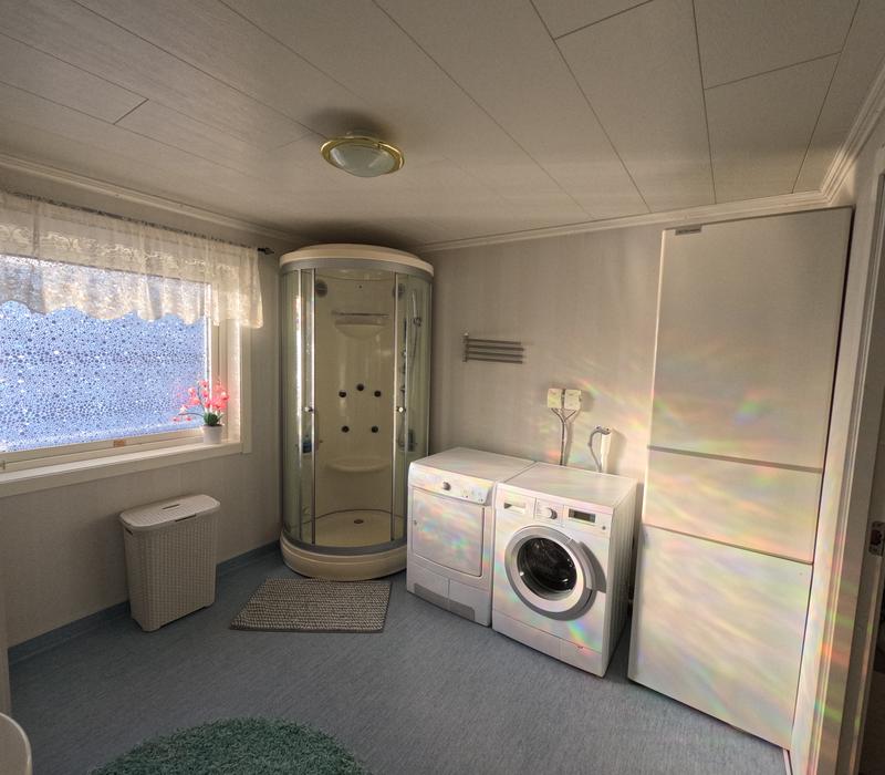 Shower cabin and washing machine
