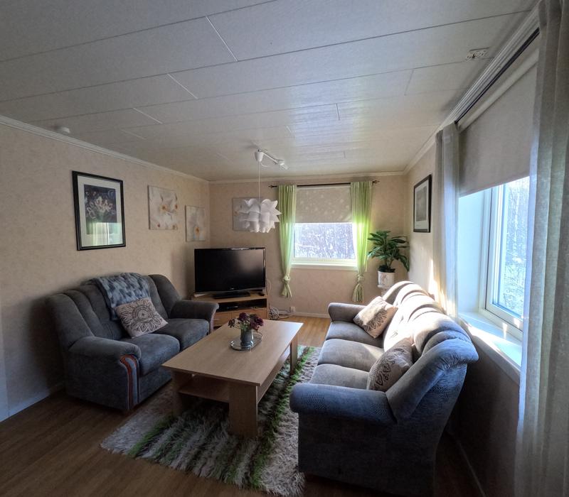 Living room with TV and green curtains